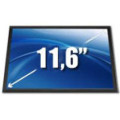 11.6''