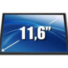 11.6''