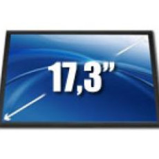 17.3"